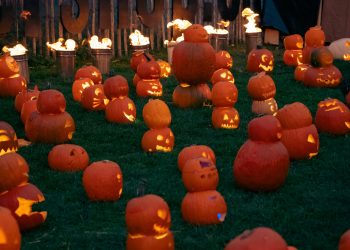 8 Creative Pumpkin Carving Ideas to Light Up Your Halloween
